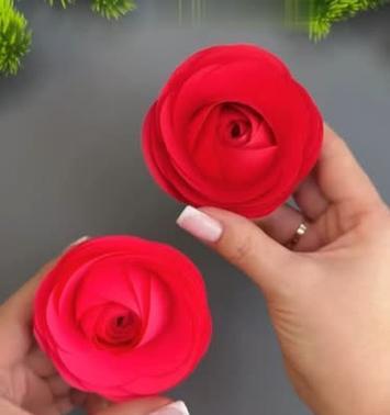 玫瑰花凋落后如何正确修剪枝条？
