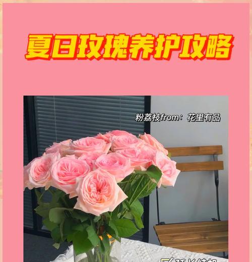 老杨哥的玫瑰花养护技巧？