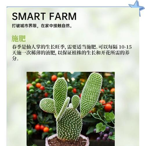 七彩咖啡仙人球的养殖技巧？