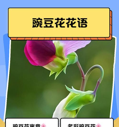 绿色花的花语是什么意思？绿色花语代表什么？