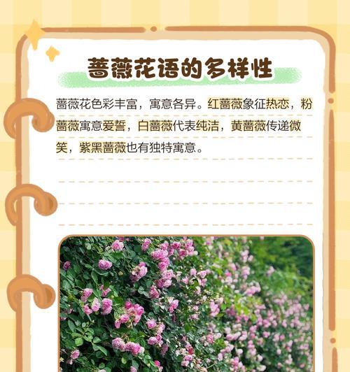 哪种花的花语代表回忆？花语中的回忆含义是什么？