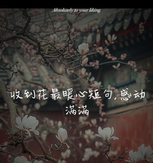什么花的花语最能感动人？最感动的花语是什么？