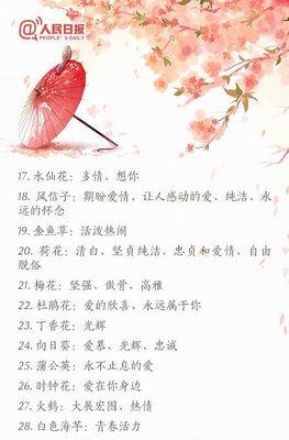 大宾菊的花语和寓意是什么？大宾菊代表什么？