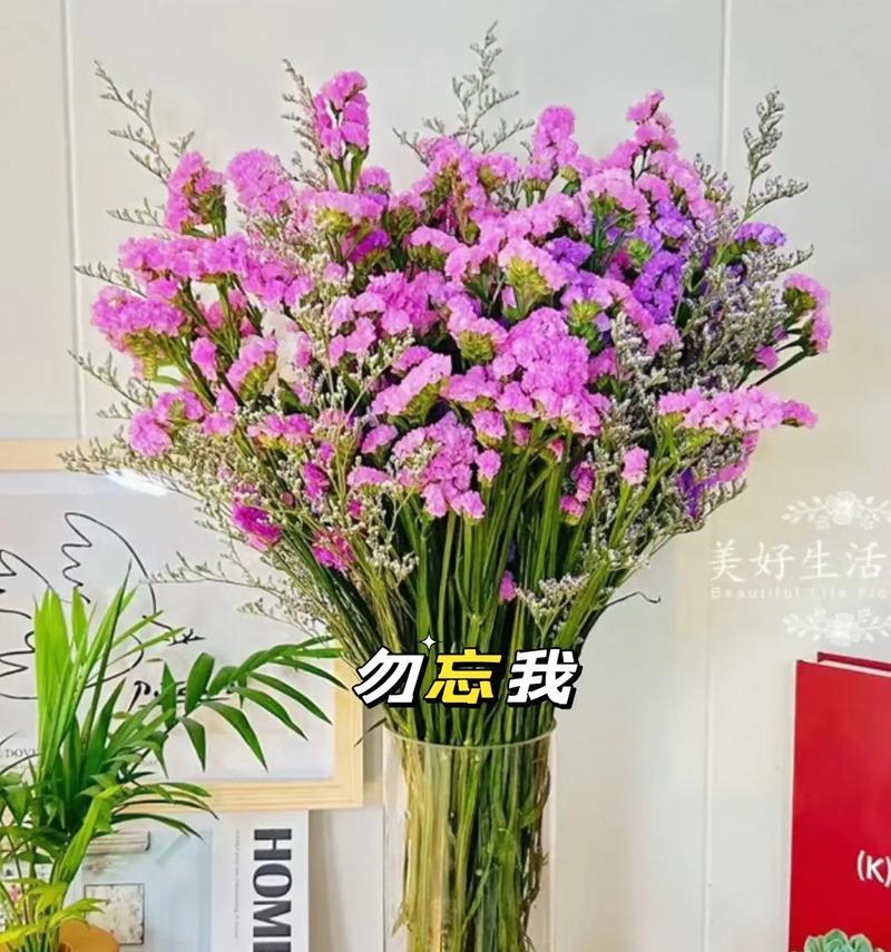 勿忘我的花语具体是什么意思？