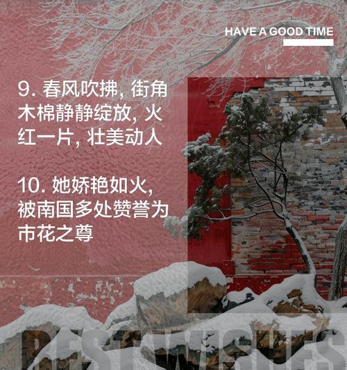 真正的木棉花花语是什么？木棉花有何特别之处？