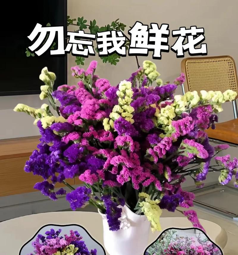 勿忘我花语是什么意思？