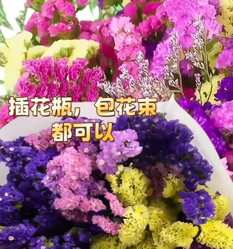 勿忘我花语是什么意思？