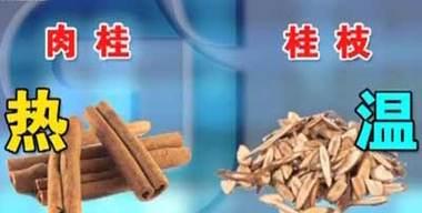 桂枝花语有何寓意？桂枝的花语背后的故事是什么？