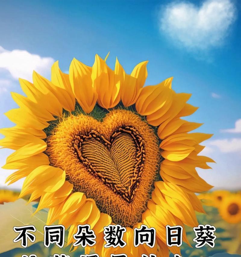 月橘花语代表什么？月橘的花语有何特别之处？