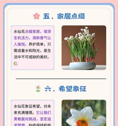 花语流水代表什么？花语流水的含义是什么？