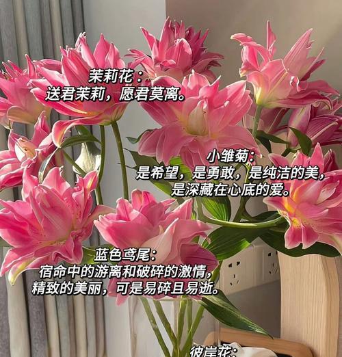 漂亮花语有哪些？如何用花语表达美丽的赞美？