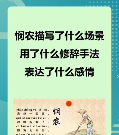 农民花语有哪些？如何用花语表达农民的辛勤？