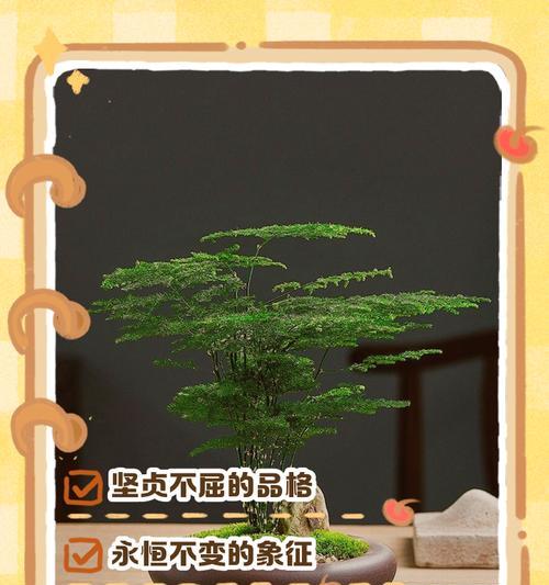 优秀花语是什么？如何用花语表达优秀的品质？