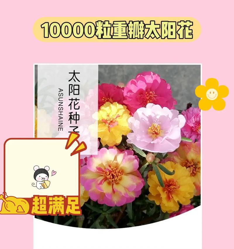粒花花语是什么？如何用花语表达粒花的精致？
