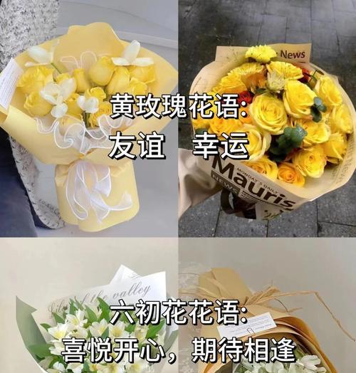 花语无邪是什么意思？如何正确表达？