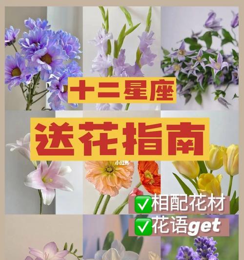 花语带花的含义是什么？如何选择合适的花？