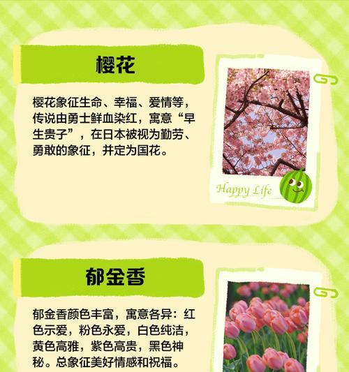 花语带花的含义是什么？如何选择合适的花？