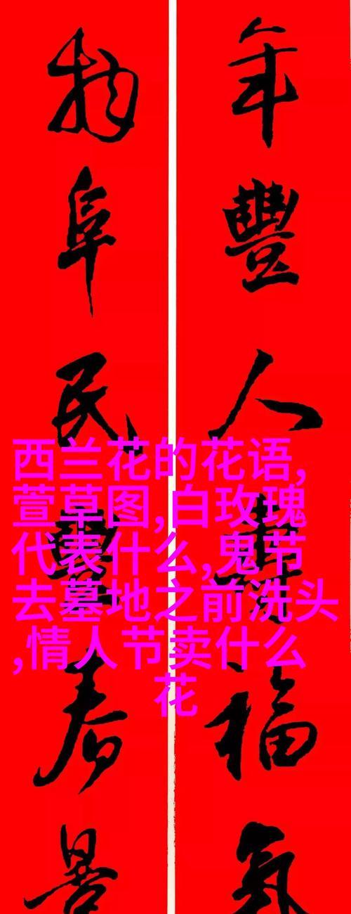 经常花语有哪些？如何在日常生活中运用？