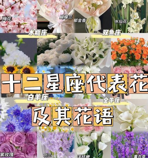 送人花语应该注意什么？如何选择合适的花语？