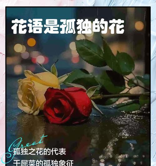 花中花语有何深意？如何用花语表达情感？