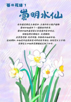 花语说法是什么？如何用花语表达观点？
