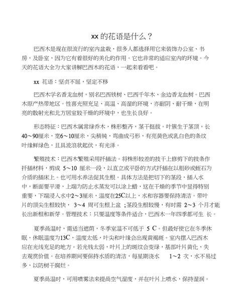 国朝花语是什么?如何用花语表达传统?