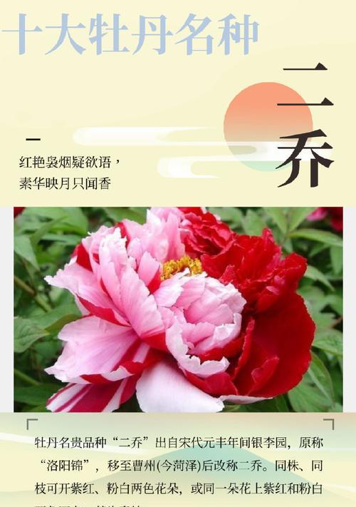 国朝花语是什么？如何用花语表达传统？