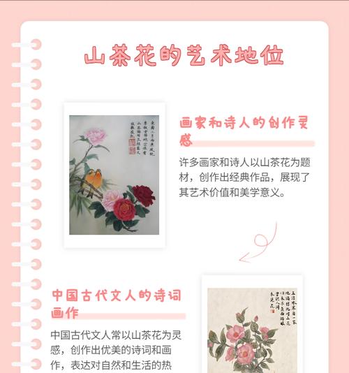 花语大人代表什么？如何用花语表达敬意？