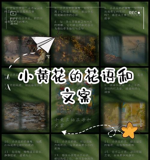 树下花语有哪些？树下花语的含义是什么？