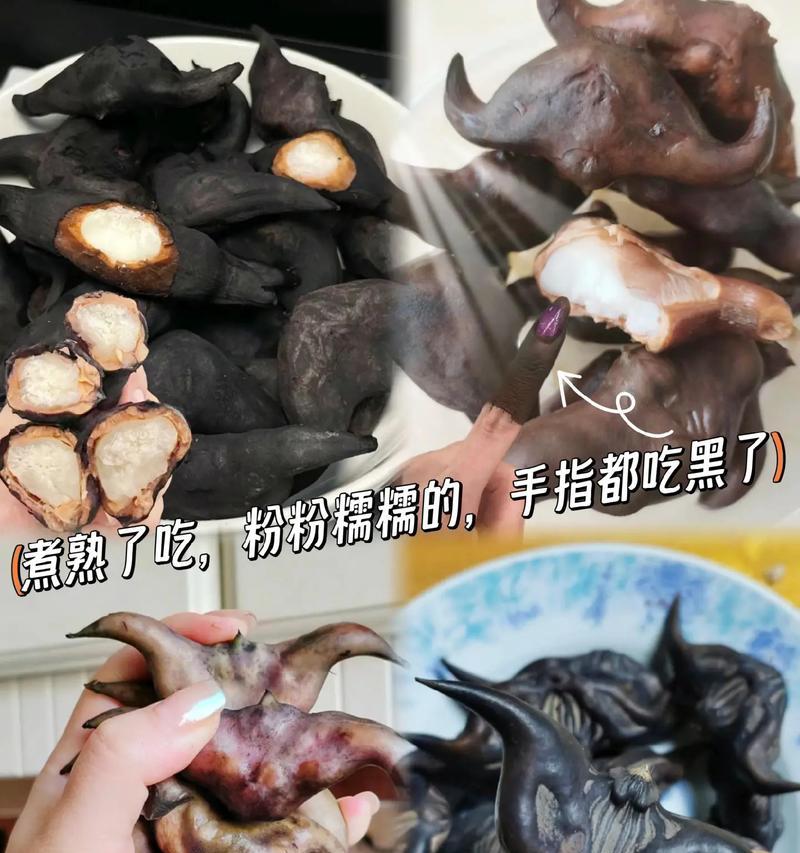 菱角花语代表什么？菱角的花语有何特别之处？