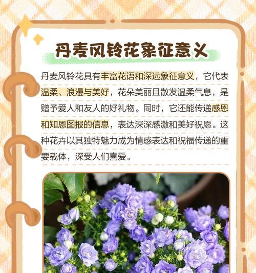 麦子花语代表什么？麦子的花语有何特别之处？