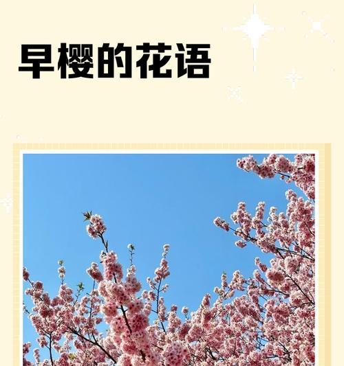 时节花语有哪些？时节花语的含义是什么？