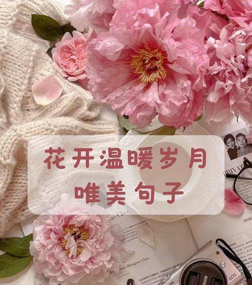 时节花语有哪些？时节花语的含义是什么？
