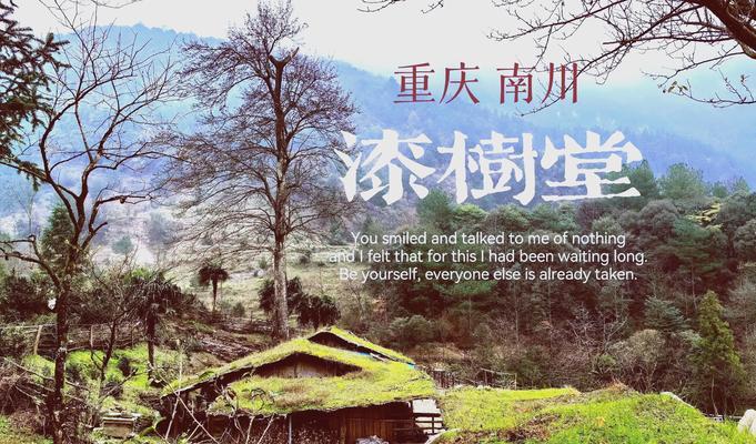 漆树花语是什么？漆树的花语有何寓意？