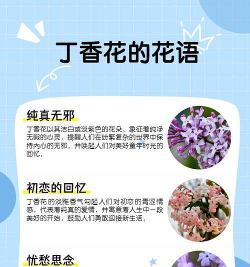 蒲英花的花语是什么？它在不同文化中代表什么？