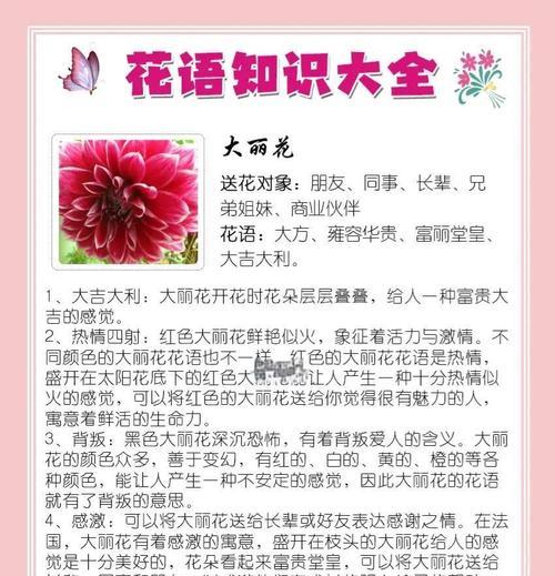 吉祥的花语是什么？吉祥花语有哪些？