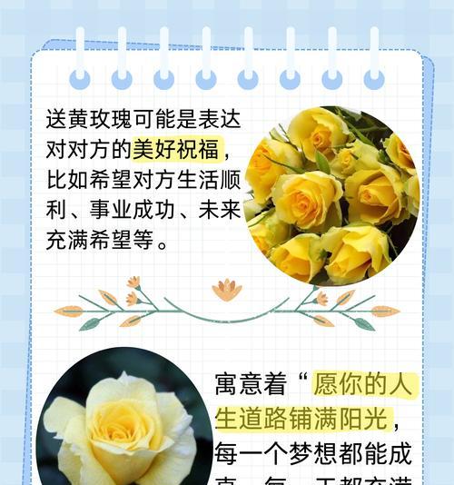 曼的花语有哪些含义？如何正确解读？