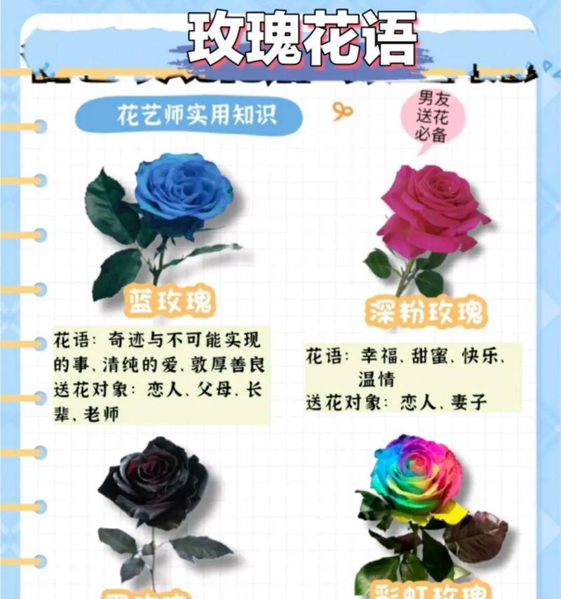 丹卷花语代表什么？在送花时应注意什么？