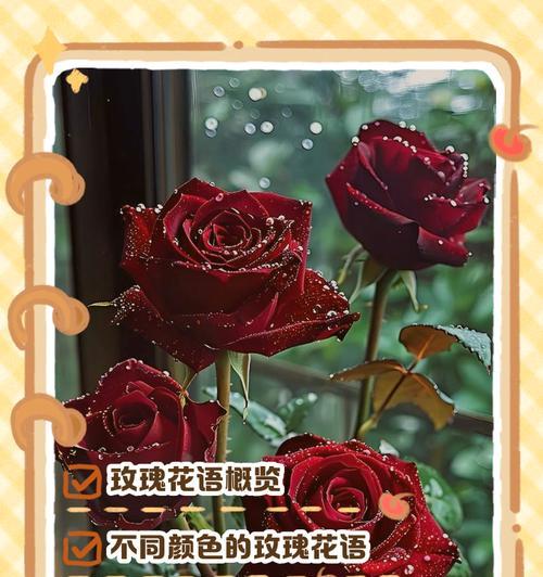 花语感人有哪些例子？如何用花语表达情感？