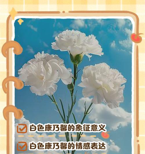 花语感人有哪些例子？如何用花语表达情感？