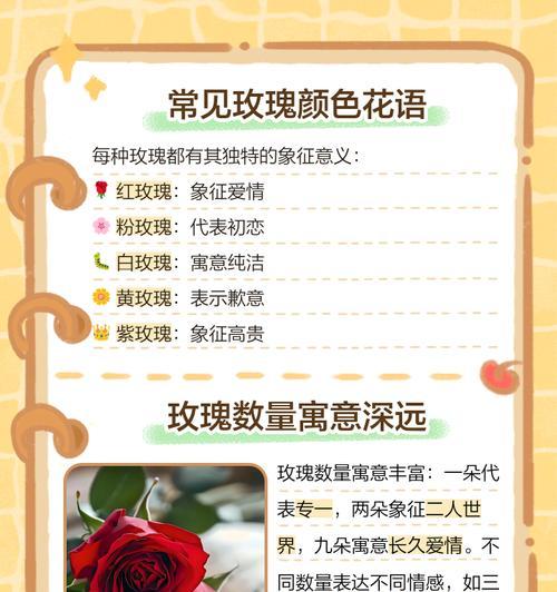 花语感人有哪些例子？如何用花语表达情感？