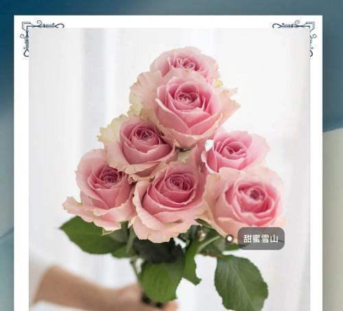 曼天花语的含义是什么？如何在送花时表达？