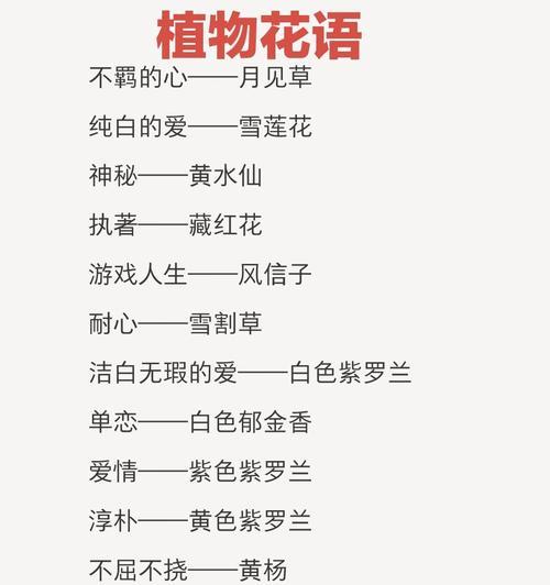 猴的花语有何深意？在花语中如何体现？