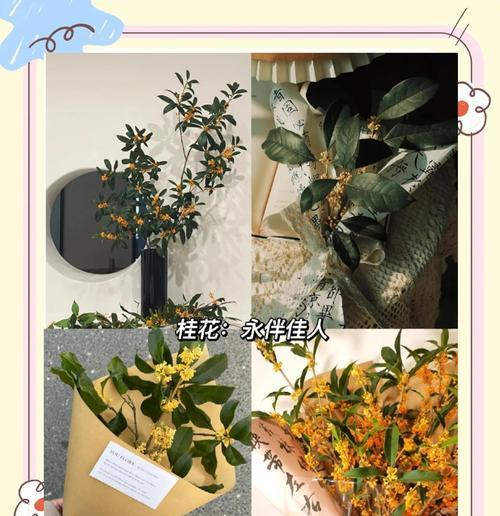 姬和花语通常表达什么？如何在送花时运用？