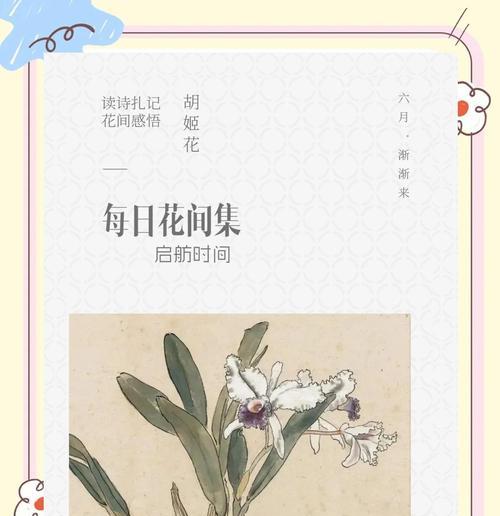 姬和花语通常表达什么？如何在送花时运用？