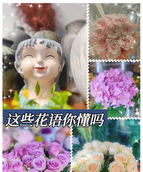 舞的花语有何独特之处？如何用花语来表达热情？