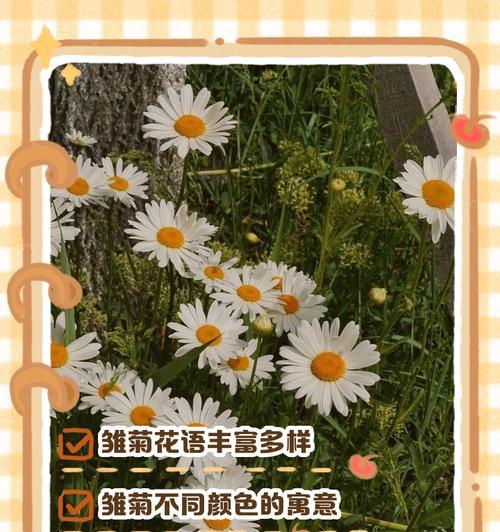 花花语是什么意思?花的花语有哪些?