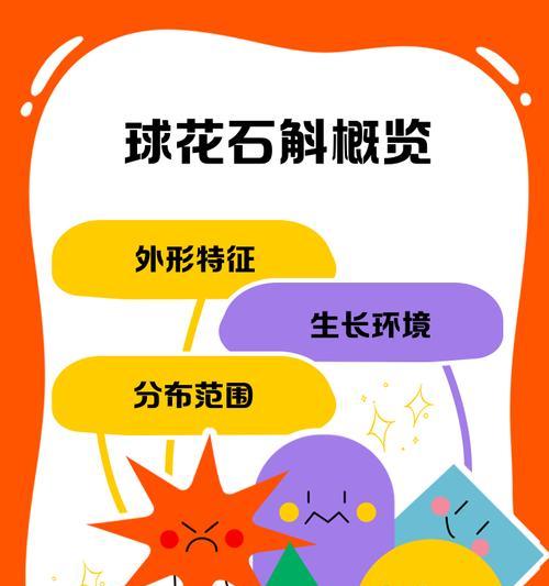 球花花语有哪些？球花的寓意是什么？