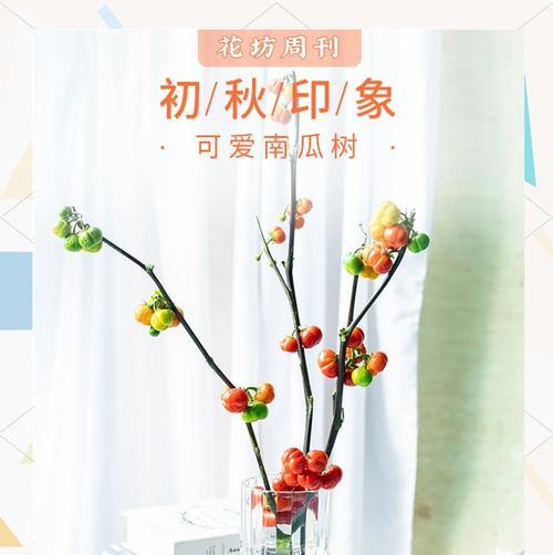 南瓜花语代表什么？南瓜花的寓意是什么？