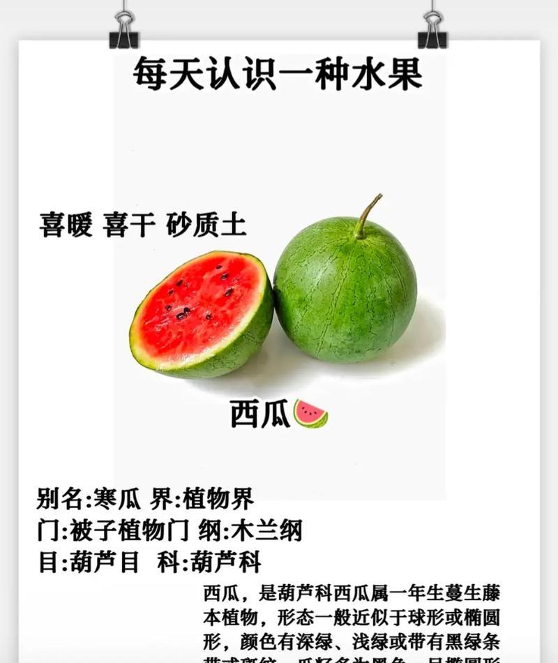 西瓜花语有何含义？西瓜花的寓意是什么？